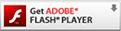 Adobe Flash Player