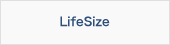 LifeSize