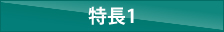 特徴1